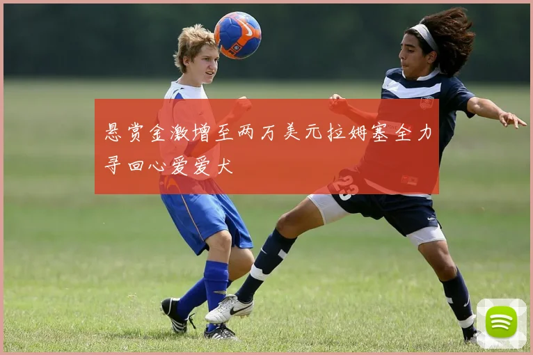 悬赏金激增至两万美元拉姆塞全力寻回心爱爱犬