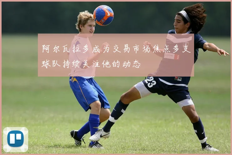 阿尔瓦拉多成为交易市场焦点多支球队持续关注他的动态